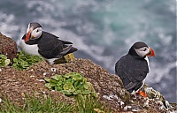 Westfjords_Iceland_200_ji.jpg