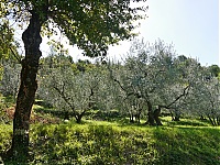 Dateiname=Piglio_11_ji.jpg
Dateigröße=1184KB
Abmessungen: 1600x1202
hinzugefügt am: 29. November 2019 Piglio_11_ji.jpg
