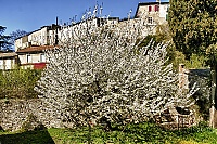 Rhone_28_Vivier.jpg