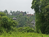 Bali_002_ji.jpg