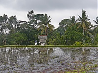 Bali_009_ji.jpg