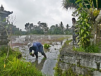 Bali_010_ji.jpg