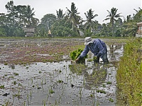 Bali_011_ji.jpg