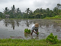 Bali_012_ji.jpg