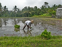 Bali_014_ji.jpg