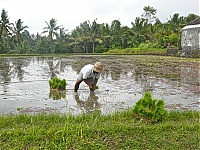 Dateiname=Bali_015_ji.jpg
Dateigröße=1303KB
Abmessungen: 1800x1352
hinzugefügt am: 12. März 2021 Bali_015_ji.jpg