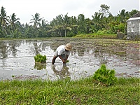 Bali_015_ji.jpg