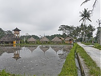 Bali_020_ji.jpg