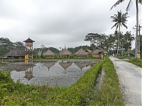 Bali_021_ji.jpg