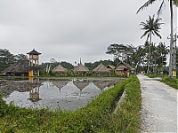 Bali_022_ji.jpg