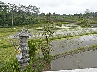 Bali_023_ji.jpg