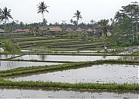 Bali_031_ji.jpg