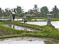 Bali_032_ji.jpg