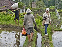 Bali_033_ji.jpg