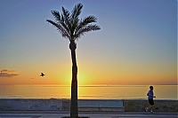 Dateiname=Cala_Millor_216_ji.jpg
Dateigröße=427KB
Abmessungen: 1800x1201
hinzugefügt am: 25. Oktober 2019 Cala_Millor_216_ji.jpg