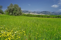 Dateiname=Selva_05_ji.jpg
Dateigröße=1085KB
Abmessungen: 1800x1201
hinzugefügt am: 25. Oktober 2019 Selva_05_ji.jpg