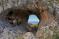Dateiname=Crete_05b.jpg
Dateigröße=1104KB
Abmessungen: 1800x1201
hinzugefügt am: 23. Dezember 2019 Crete_05b.jpg