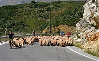 Dateiname=Crete_08.jpg
Dateigröße=1244KB
Abmessungen: 1800x1122
hinzugefügt am: 23. Dezember 2019 Crete_08.jpg