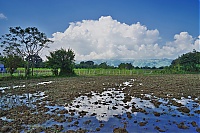 Dateiname=069_Burma_Inle_Lake_ji.jpg
Dateigröße=757KB
Abmessungen: 1798x1200
hinzugefügt am: 04. April 2021 069_Burma_Inle_Lake_ji.jpg
