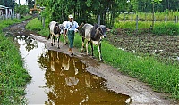 072_Burma_Inle_Lake_ji.jpg