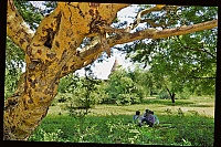 1112_Burma_Bagan_ji.jpg