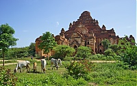 Dateiname=1122_Burma_Bagan_ji.jpg
Dateigröße=821KB
Abmessungen: 1800x1135
hinzugefügt am: 04. April 2021 1122_Burma_Bagan_ji.jpg