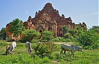 Dateiname=1123_Burma_Bagan_ji.jpg
Dateigröße=939KB
Abmessungen: 1800x1174
hinzugefügt am: 04. April 2021 1123_Burma_Bagan_ji.jpg