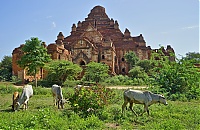 1123_Burma_Bagan_ji.jpg