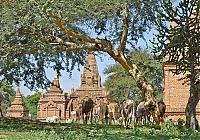 Dateiname=1177_Burma_Bagan_ji.jpg
Dateigröße=1061KB
Abmessungen: 1711x1200
hinzugefügt am: 04. April 2021 1177_Burma_Bagan_ji.jpg