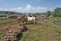 145_Burma_Inle_Lake_ji.jpg