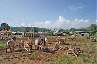 Dateiname=146_Burma_Inle_Lake_ji.jpg
Dateigröße=703KB
Abmessungen: 1798x1200
hinzugefügt am: 04. April 2021 146_Burma_Inle_Lake_ji.jpg