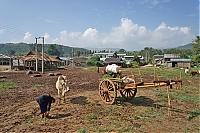 149_Burma_Inle_Lake_ji.jpg