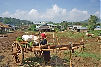 150_Burma_Inle_Lake_ji.jpg