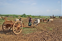 152_Burma_Inle_Lake_ji.jpg