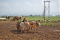 153_Burma_Inle_Lake_ji.jpg