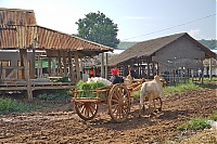 155_Burma_Inle_Lake_ji.jpg