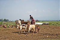 159_Burma_Inle_Lake_ji.jpg