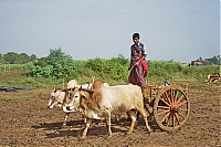 Dateiname=160_Burma_Inle_Lake_ji.jpg
Dateigröße=637KB
Abmessungen: 1798x1200
hinzugefügt am: 04. April 2021 160_Burma_Inle_Lake_ji.jpg