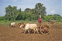 161_Burma_Inle_Lake_ji.jpg