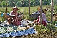 170_Burma_Inle_Lake_ji.jpg