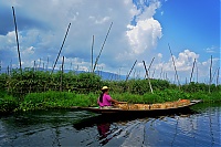 Dateiname=234_Burma_Inle_Lake_ji.jpg
Dateigröße=582KB
Abmessungen: 1798x1200
hinzugefügt am: 04. April 2021 234_Burma_Inle_Lake_ji.jpg