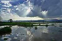 264_Burma_Inle_Lake_ji.jpg