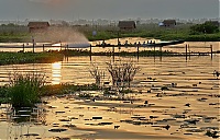 Dateiname=313b_Burma_Inle_Lake_ji.jpg
Dateigröße=829KB
Abmessungen: 1800x1158
hinzugefügt am: 04. April 2021 313b_Burma_Inle_Lake_ji.jpg