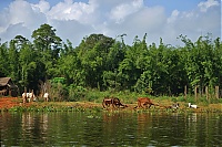 Dateiname=352_Burma_Inle_Lake_ji.jpg
Dateigröße=742KB
Abmessungen: 1798x1200
hinzugefügt am: 04. April 2021 352_Burma_Inle_Lake_ji.jpg