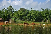 352_Burma_Inle_Lake_ji.jpg