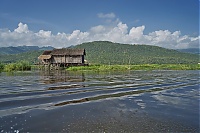 Dateiname=366_Burma_Inle_Lake_ji.jpg
Dateigröße=471KB
Abmessungen: 1797x1200
hinzugefügt am: 04. April 2021 366_Burma_Inle_Lake_ji.jpg