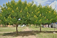 464_Burma_Inle_Lake_ji.jpg