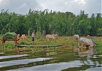 Dateiname=567_Burma_Inle_Lake_ji.jpg
Dateigröße=675KB
Abmessungen: 1711x1200
hinzugefügt am: 04. April 2021 567_Burma_Inle_Lake_ji.jpg