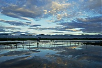 631_Burma_Inle_Lake_ji.jpg