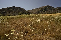 Crete_006_ji.jpg